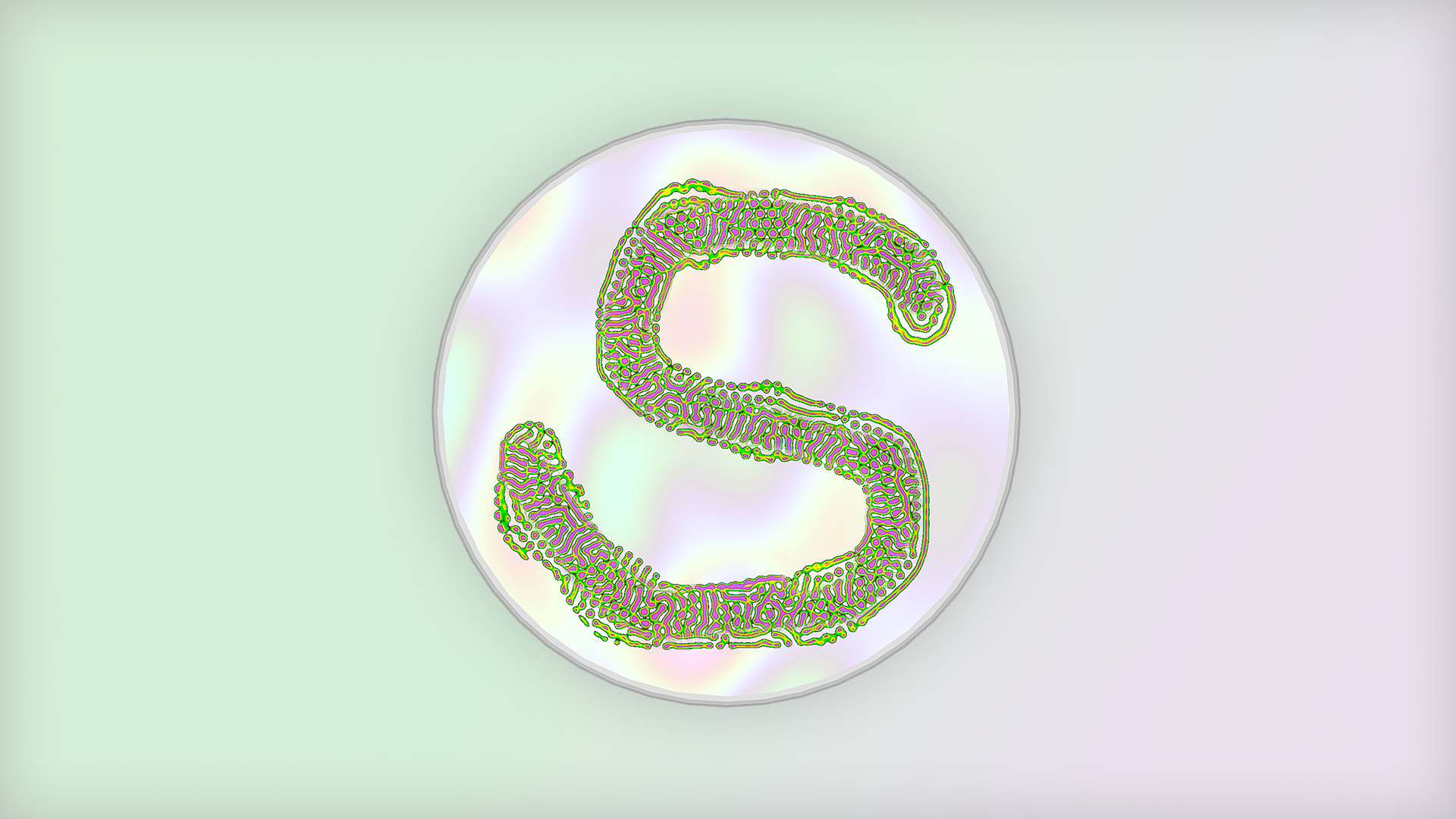 Slime